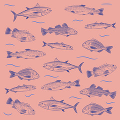 A set of painted popular fish on a pink background. Tuna, salmon, cod, sea bass, mackerel, Dorado. Sketch and hand drawing, vector illustration