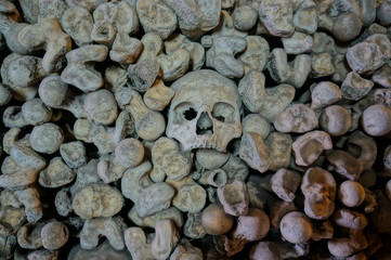 wall of bones