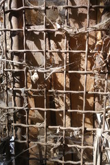 Iron mesh with freshness beauty in nature