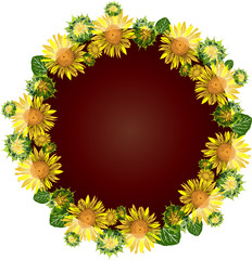 round wreath of yellow blossoming sunflowers, inside empty space