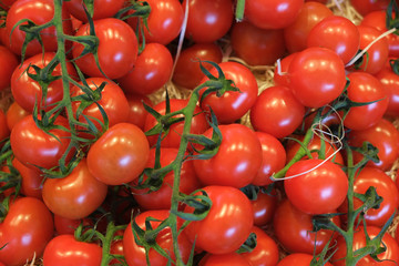 Tomaten