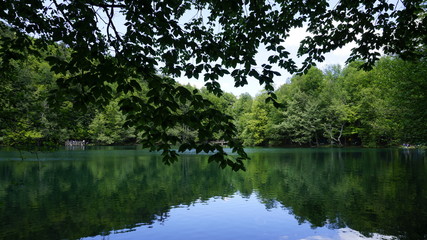 Fototapeta na wymiar Lake view in Yedigoller, Bolu. Full of greenery and the reflection of trees on water. View of a lake, mirror effect of the trees on the water. Lake and tropical rain forest landscape on sunshine day.