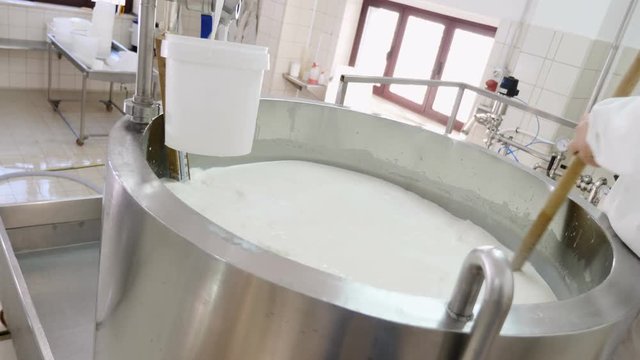 Cheese Factory cheese maker Moving Fermenting Milk
