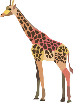 polygonal abstract vector giraffe