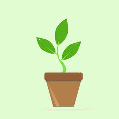 Seedling silhouette in flowerpot on white background. icon