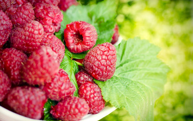 Fresh organic raspberry - vegetarian food, healthy eating
