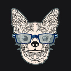 Vector face of dog with glasses. Dog have a big ears. Isolated on black background.