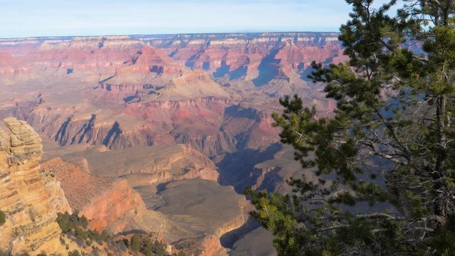 Pan Shot Bottom Up Grand Canyon In Sunny Day On Background Of Pine Tree 4K