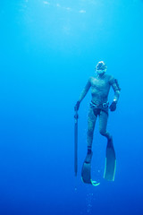 Fototapeta premium spearfishing in ocean