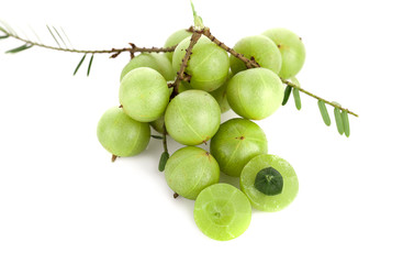 Indian Gooseberry on white background