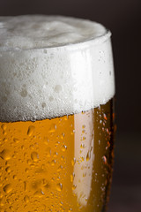 Glass of cold pale beer