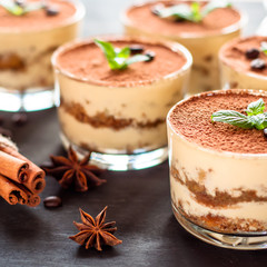 exquisite Italian dessert tiramisu decorated with mint on a dark wooden background