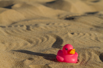 Fototapeta na wymiar Toy duck on the beach in the sand close up