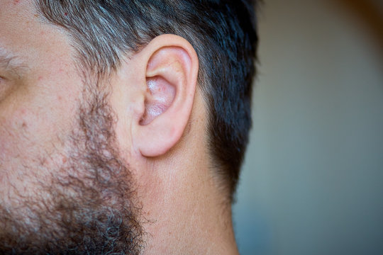 man's ear, close-up