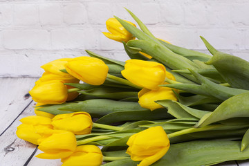 Naklejka premium Yellow tulips. Macro shot