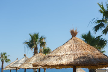 Fototapeta premium Straw umbrellas with palm trees on the beach against the sea and sky