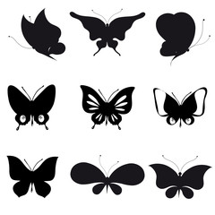 black butterfly, isolated on a white