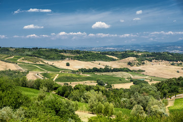 Landscape near San Gimignano (Tuscany)