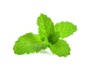 Fresh mint leafs isolated on white background