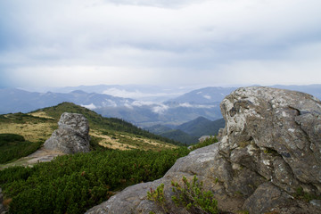 Fototapeta na wymiar Summer landscape with Carpathian Mountains, Europe. High mountain peaks.