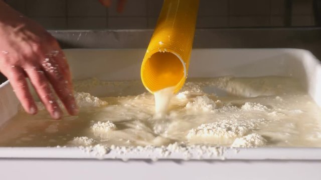 Cheese-Maker Images – Parcourir 1,022 le catalogue de photos, vecteurs ...