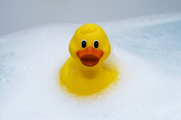 Rubber ducky having a bubble bath