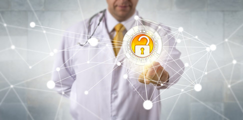 Doctor Accessing Data Via Secure Network