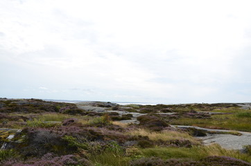 Fototapeta na wymiar Landskap