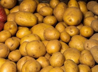 Fresh organic young potatoes sold on market