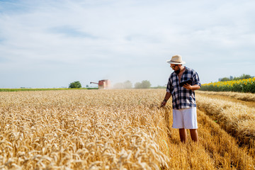 Photo of farmer man with sunglasses and hat checking the progress of a wheat grain in the field and combine harvester in the background.