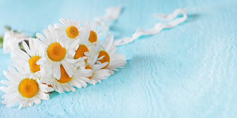 Bouquet of daisies on a blue background