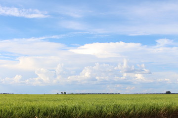 Obraz premium Onde é o limite?