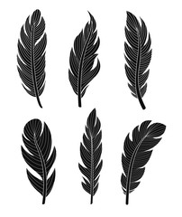 Vector illustration set of six elegant silhouette feathers on white background for your design and decoration.