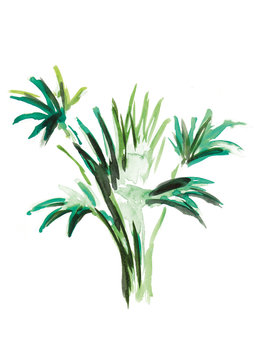 Plant 03