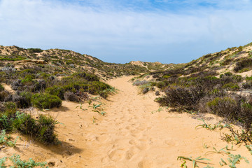 Sandweg auf einer Düne