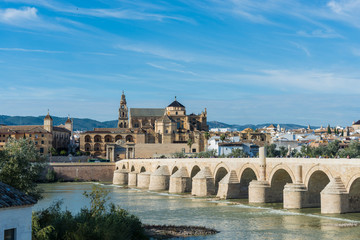 Obraz premium Roman bridge in Cordoba, Andalusia, southern Spain.