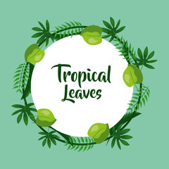 tropical leaves decoration natural badge vector illustration