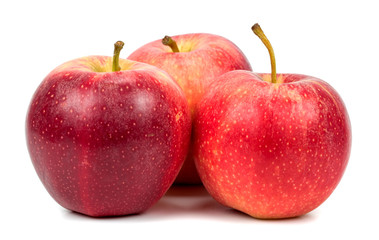 red apples on a white background