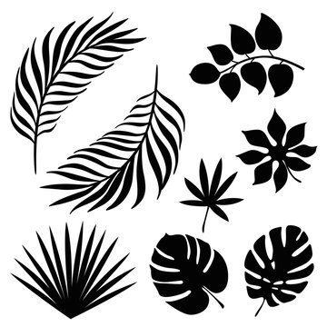 tropical palm leaves silhouette set