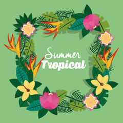 summer tropical exotic flowers botanical decoration vector illustration
