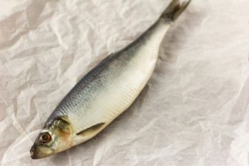 tasty salted herring on parchment paper