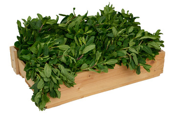 Mint in wooden box on white background