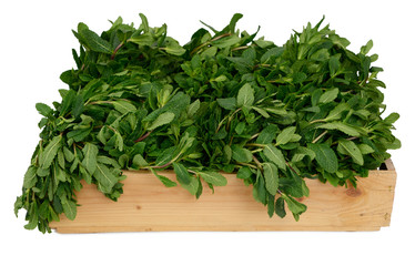Mint in wooden box on white background