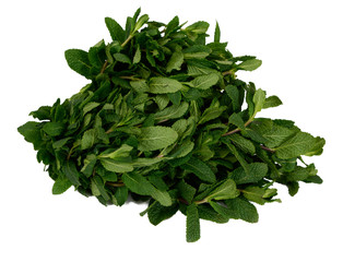Mint on white background