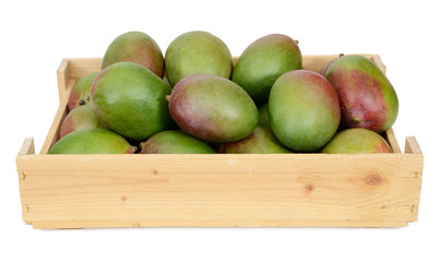 Mango in wooden box on white background