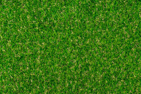 Green grass texture for background. Artificial turf for outdoor sport.