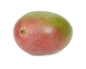 Mango on white background