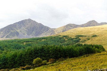 Obraz premium Mountains on mossy range