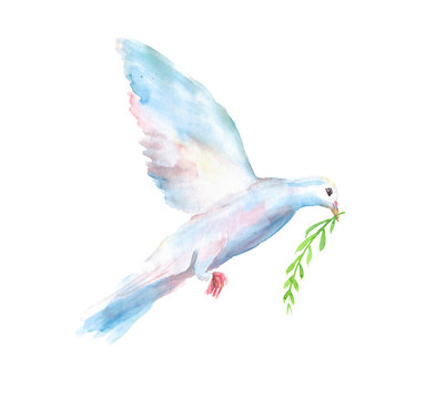 Watercolor hand drawn sketch illustration of white dove of the world with a green twig in its beak isolated on white