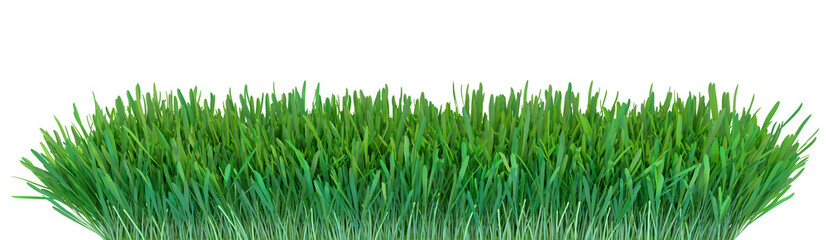 Fototapeta na wymiar Green grass. Natural grass texture background. Meadow. Spring, summer season. Plant growth 3d rendering